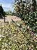 IMG_9347.jpeg